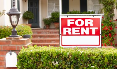 Maximizing Rental Income: 12 Strategies for Setting the Right Rent and Minimizing Vacancies