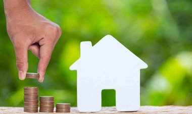 How to Choose the Right Real Estate Agent in Kenya for Diaspora Buyers