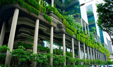 Sustainability and Green Building Practices in Kenya's Affordable Housing Sector