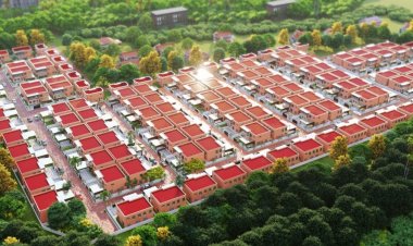 The Role of Real Estate in Community Development