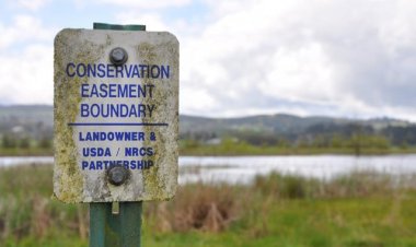 Understanding Conservation Easements and Their Impact on Real Estate