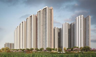 How Changing Demographics Influence Real Estate  Trends in Kenya