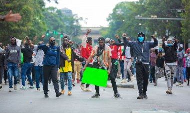 The  Relationship Between Protest Zones and Property Prices